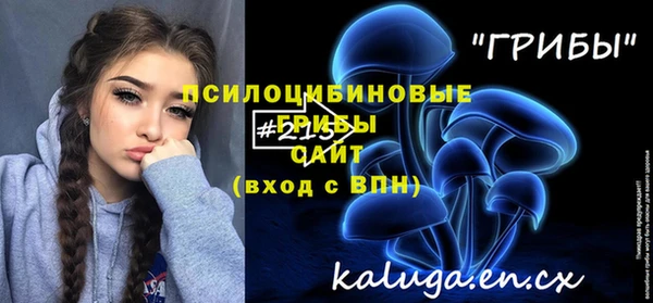 мяу мяу кристалл Алексин