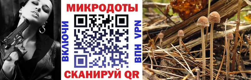 дарнет шоп  Сельцо  Псилоцибиновые грибы MAGIC MUSHROOMS 